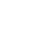 NS3